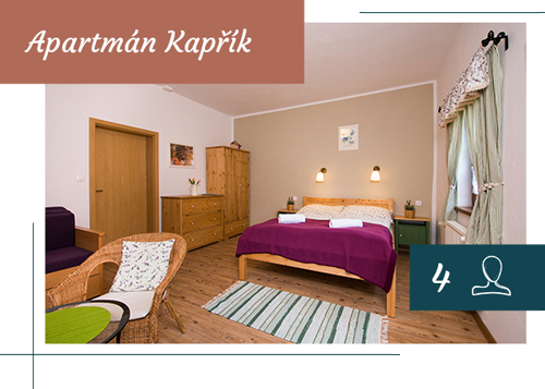 apartmán Kařík ubytování Třeboň