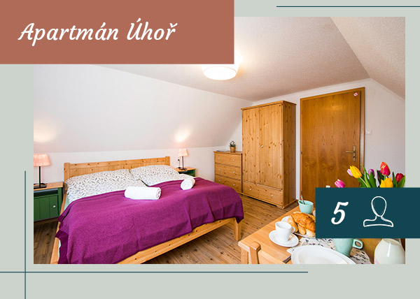 ubytování Třeboň pokoj Úhoř - až pro 5 lidí