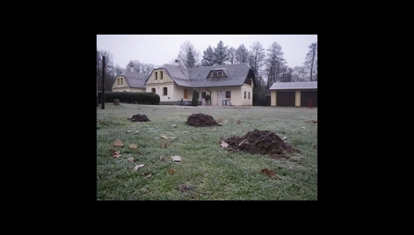 Rozšiřujeme kapacitu penzionu